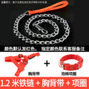 Iron Chain Teddy/Golden Retriever Medium Collar Dog Hand Holding Rope