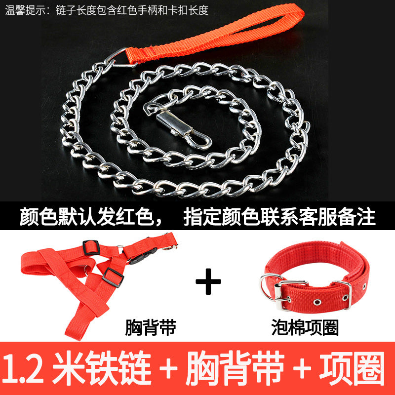 Iron Chain Teddy/Golden Retriever Medium Collar Dog Hand Holding Rope