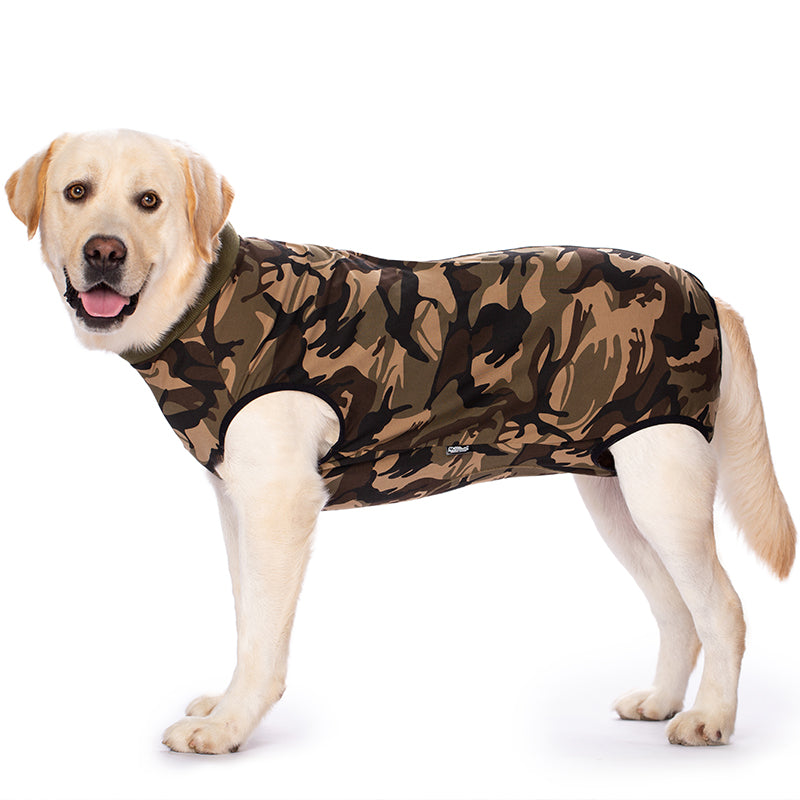 Dog Sterilization Surgical Gown Autumn Golden Retriever Labrador Medium Large Dog after Operation Anti-Licking Clothes Pet Four-Legged Vest