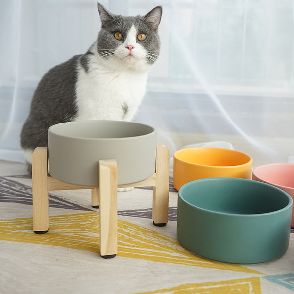 Raised Wooden Frame Ceramic Protection Cervical Spine Cat Bowl