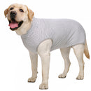 Dog Sterilization Surgical Gown Autumn Golden Retriever Labrador Medium Large Dog after Operation Anti-Licking Clothes Pet Four-Legged Vest