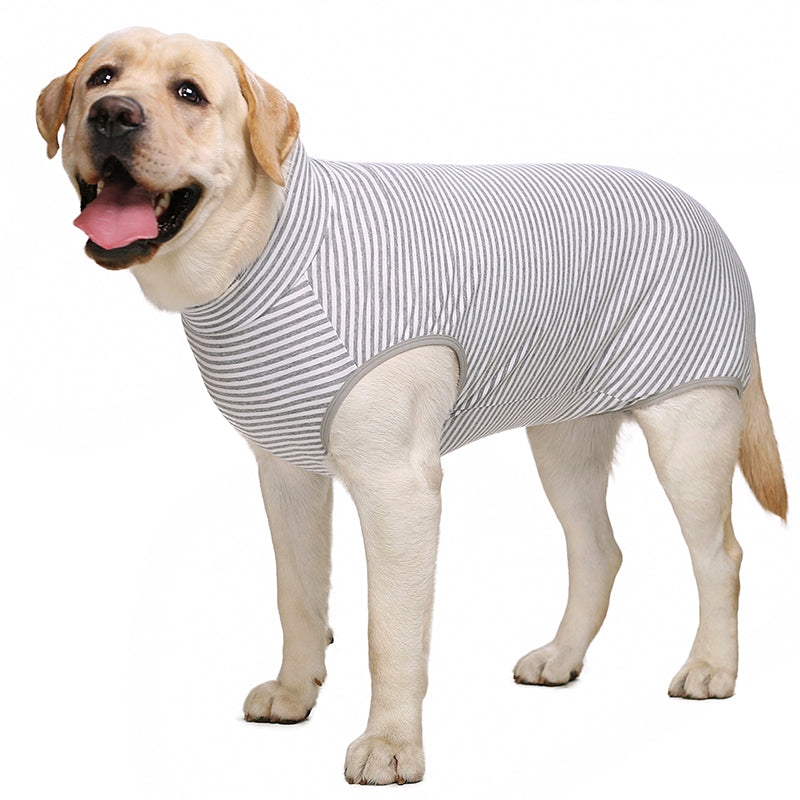 Dog Sterilization Surgical Gown Autumn Golden Retriever Labrador Medium Large Dog after Operation Anti-Licking Clothes Pet Four-Legged Vest