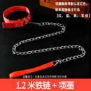 Iron Chain Teddy/Golden Retriever Medium Collar Dog Hand Holding Rope