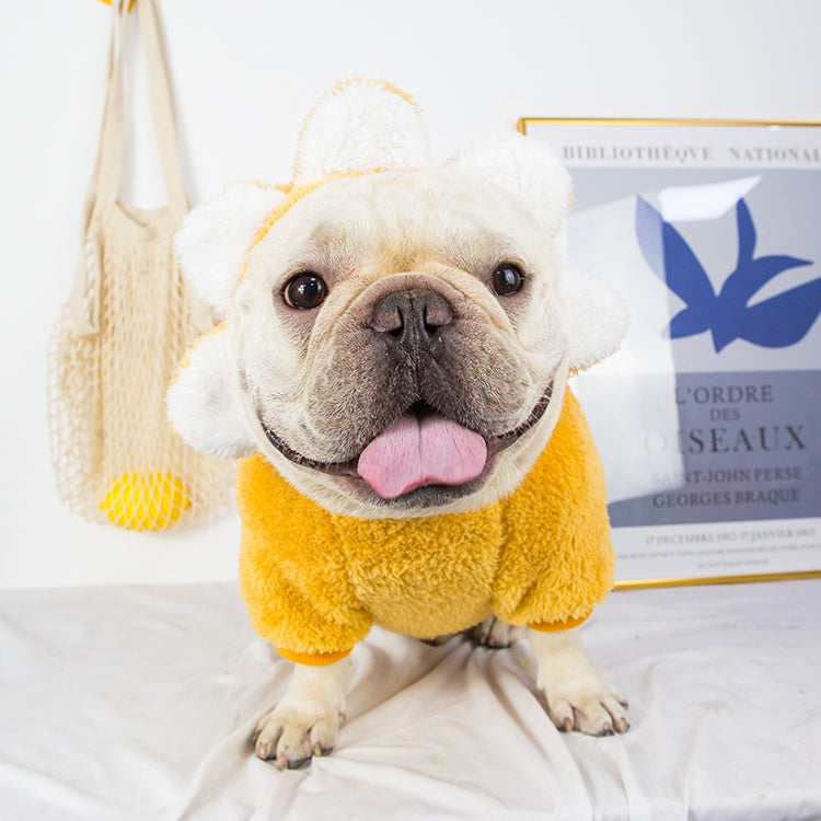 Pug French Bulldog Clothes Shiba Inu Fat Dog Thickened Clothes Pet Dog Bullfight Fleece-lined Heattech Hooded Clothes Autumn and Winter Clothing