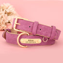 Medium-Sized Dog Jarre Aero Bull Corgi Double Layer Anti-Strangulation Dog Collar