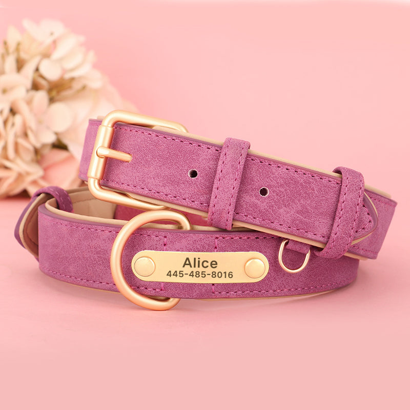 Medium-Sized Dog Jarre Aero Bull Corgi Double Layer Anti-Strangulation Dog Collar