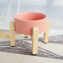 Raised Wooden Frame Ceramic Protection Cervical Spine Cat Bowl