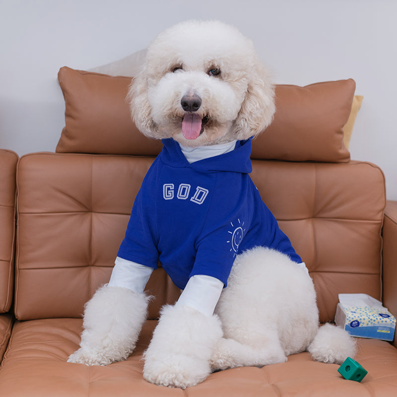 Cute Large Dog Clothes Pet Suit Spring and Autumn Anti-Lint Labrador Golden Retriever Giant Dog Clothes Trendy