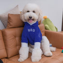 Cute Large Dog Clothes Pet Suit Spring and Autumn Anti-Lint Labrador Golden Retriever Giant Dog Clothes Trendy