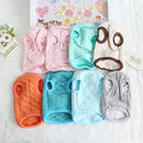 Chihuahua Special Clothes Puppy 0.75kg Jin Mini Cup Puppy Puppy Small Body Winter Winter Dog