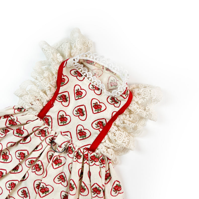 Jelu Jelu Fresh Comfortable Soft Hairless Cat