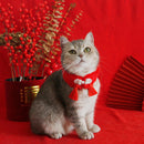 Cat Mi New Year Dog New Year Clothes Pet Red Small Waistcoat Teddy Shawl Bandana Cloak Chinese Style