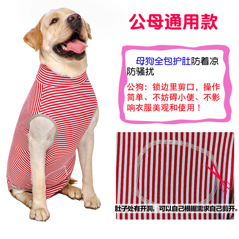 Dog Sterilization Surgical Gown Autumn Golden Retriever Labrador Medium Large Dog after Operation Anti-Licking Clothes Pet Four-Legged Vest