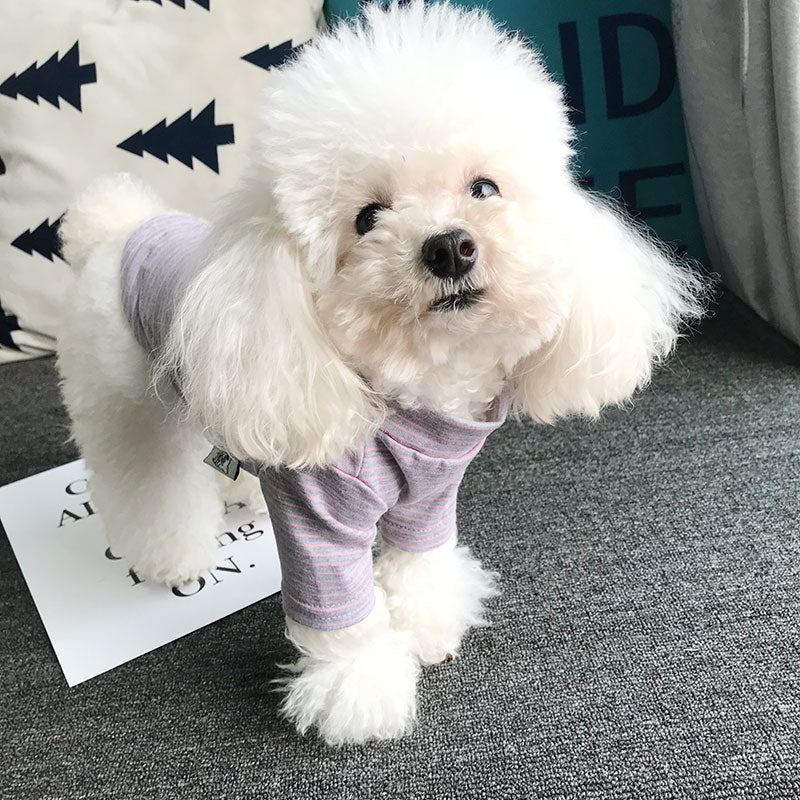Teddy Cotton Striped Pocket Base Shirt Bichon Pet