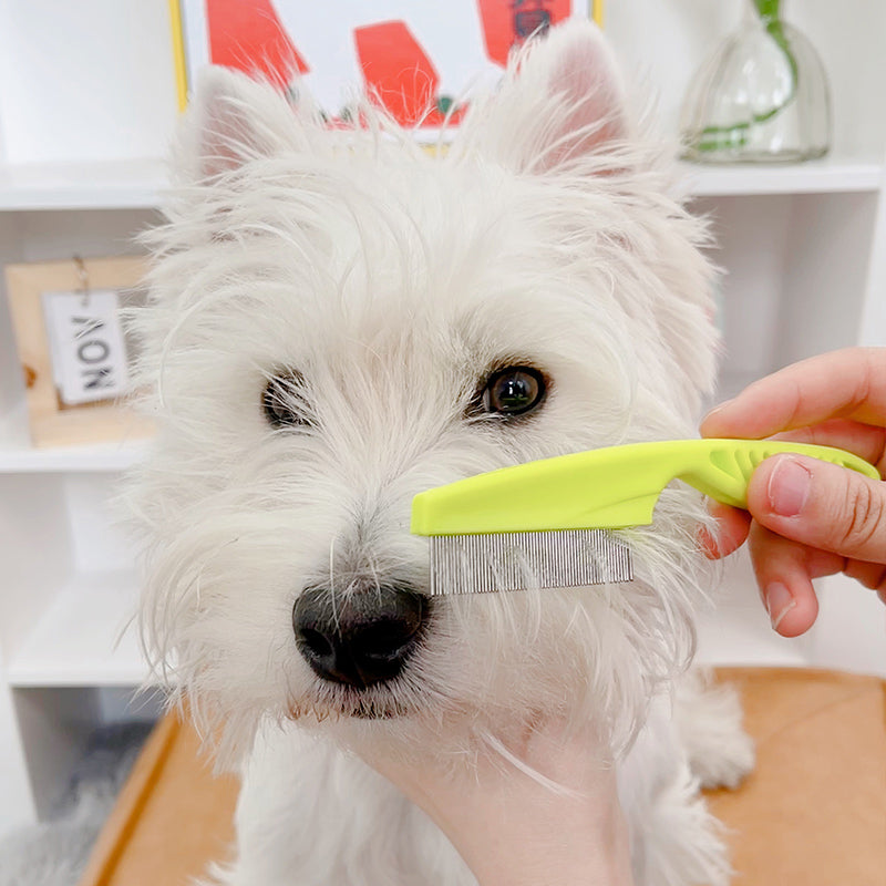 Mini CAT Combed Lice Dog