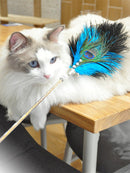 Ostrich Feather Cat Teaser Feather Fairy with Bell Kittens Cat Toy Self-Hi Relieving Stuffy Handy Gadget Cat Bite-Resistant Long Brush Holder