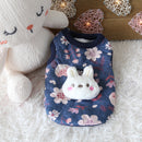 Chihuahua Special Clothes Puppy 0.75kg Jin Mini Cup Puppy Puppy Small Body Winter Winter Dog