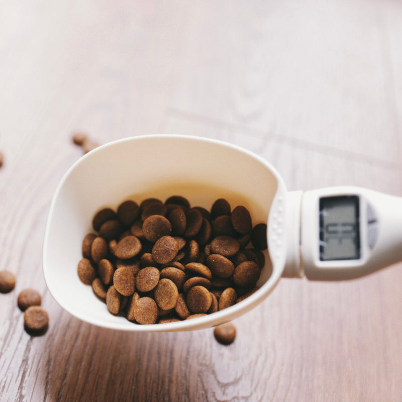 Supemoto Pet Food Electronic Meter Measuring Spoon Cat and Dog Electronic Scale Western Highland Scientific Quantitative Feeding Dog Food Spoon