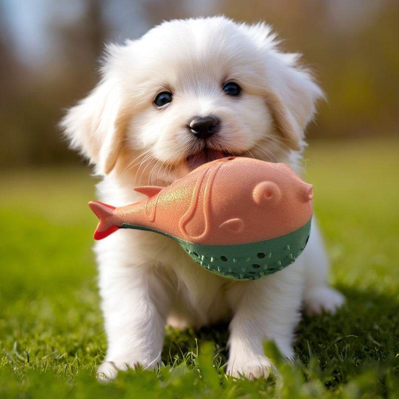 Toy Ball Self-Hi Relieving Boredom Corgi Pomeranian/Bichon Frise Dog