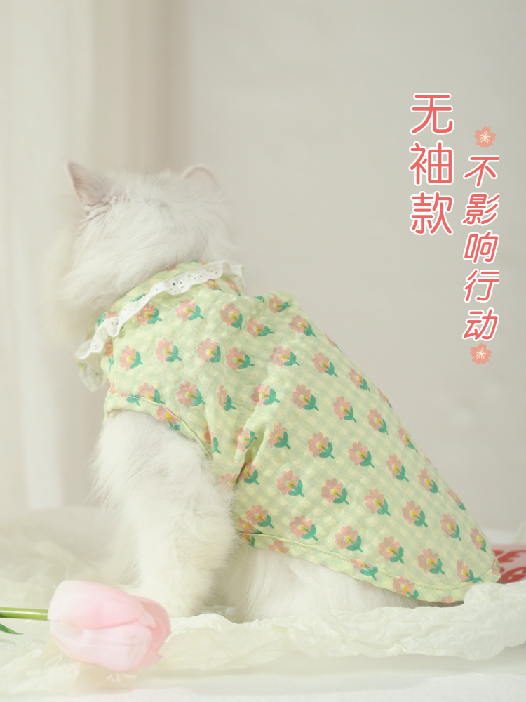 Cat Clothes Summer Pet Kitten Silver Gradual Layer Cat Thin British Shorthair Blue Cat Summer Sleeveless Cute Kittens Vest