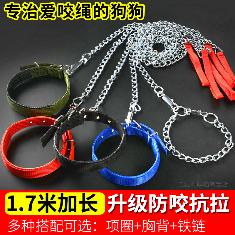 Iron Chain Teddy/Golden Retriever Medium Collar Dog Hand Holding Rope