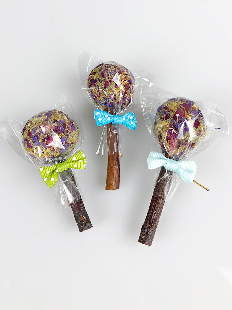 Rabbit Molar Lollipop Petal Molar Straw Ball Grass Cake Rabbit Guinea Pig Totoro Apple Branch Bite Wood Grinding Stick