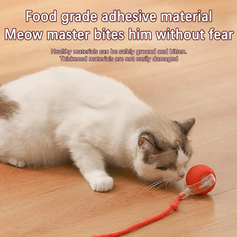 Interactive Cat Toys Ball Auto Electric Rolling Ball Toys for Cats/Kitty Pets Smart Automatic Teaser USB Rechargeable