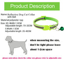 Reflective Cat Collar Safety Buckle with Bell Breakaway Pet Small Dog Collier Chain Necklace Personalized for Gatos Kitten Perro