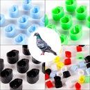 Simulation Pigeon Electronic Foot Ring ID8mm Electronic chips can be installed Racing Pigeon Outdoor Training Bird Accessories