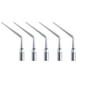 Dental Ultrasonic Scaler Tips Dental Endodontic Endo Tip fit EMS WOODPECKER Scaler Teeth Whitening Tools E1-E6