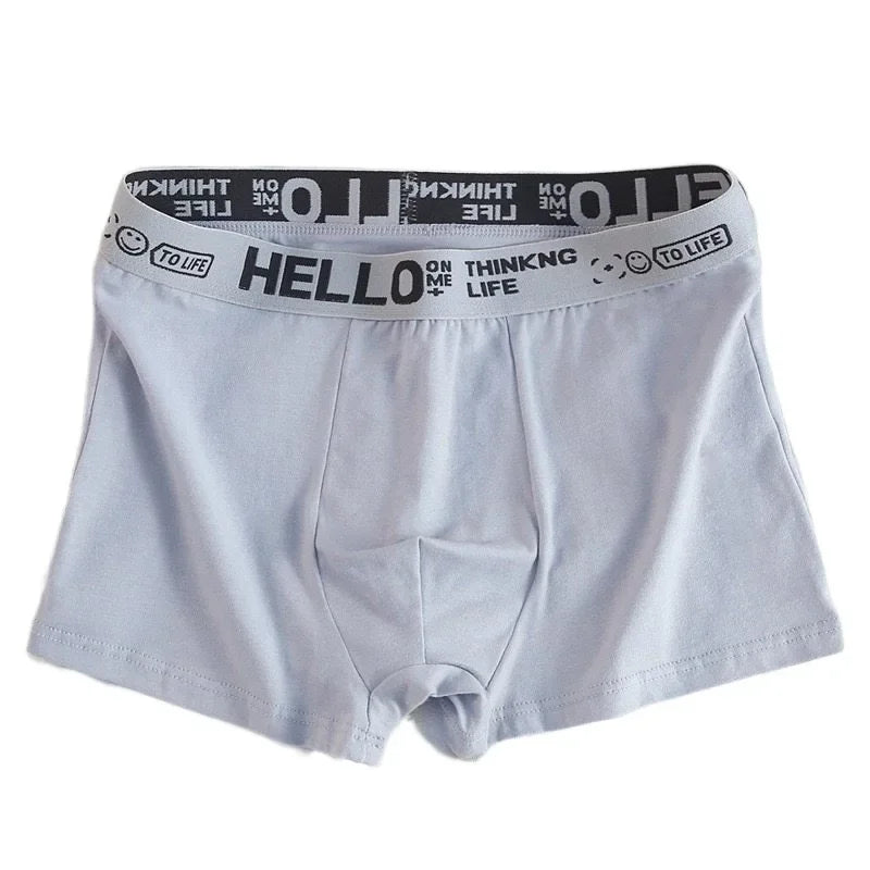 5Pcs Mens Underwear Male Boxers Sexy Underpants Comfortable Breathable Fashion Boys Panties Underwear Boxershorts Men