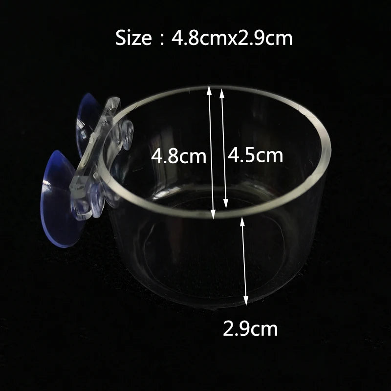 Transparent Aquarium Fish Tank Shrimp Food Feeding Circle Glass Feeder Floating Bottom Feeder Fish Shrimp