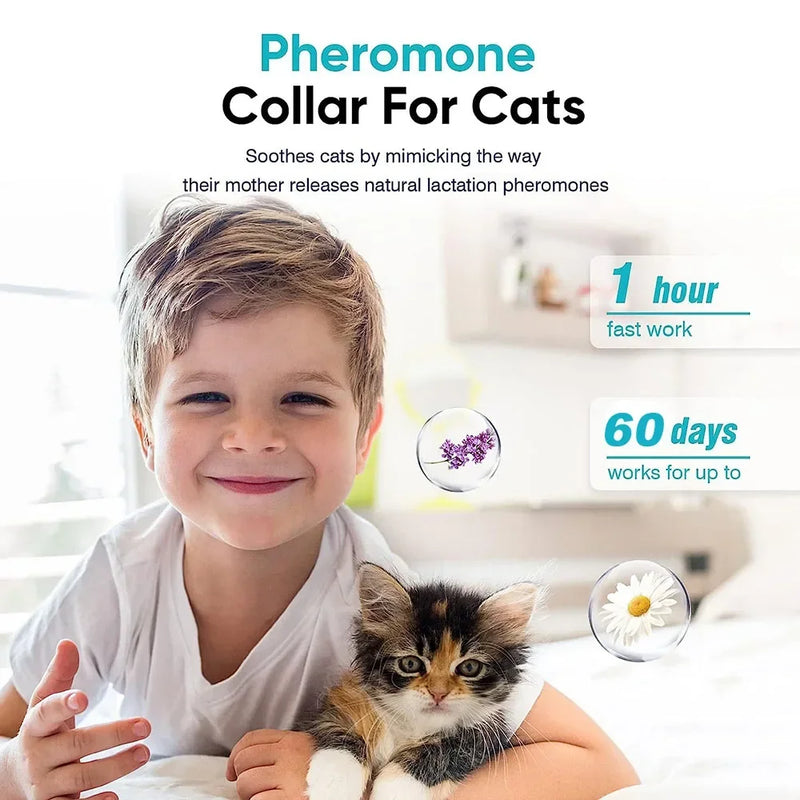 Pet Calming Collar for Cats Effective Relief Reduce Anxiety Stress Pheromones Relaxing Breakaway Collar for Kittens Puppies Dogs