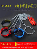 Iron Chain Teddy/Golden Retriever Medium Collar Dog Hand Holding Rope