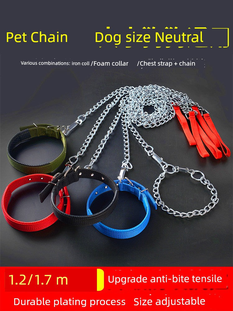 Iron Chain Teddy/Golden Retriever Medium Collar Dog Hand Holding Rope