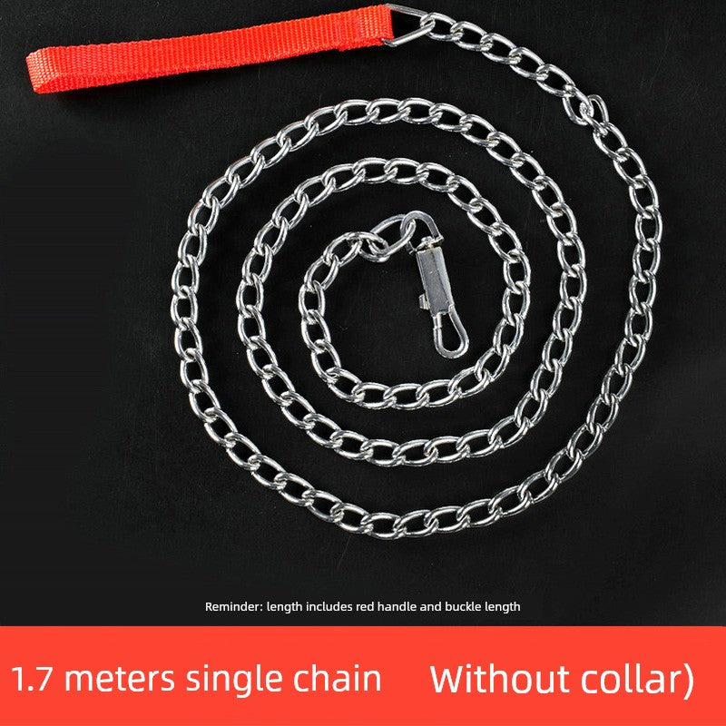 Iron Chain Teddy/Golden Retriever Medium Collar Dog Hand Holding Rope