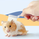 1pc Plastic Hamster Brush with Soft Bristles - Transparent Pet Grooming Comb for Mice and Small Animals,