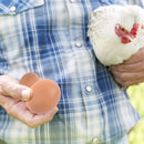 6/12Pcs Plastic Eggs Chicken House Small Fake Eggs Farm Animal Supplies Cages Accessories Guide Chicken Nest Egg Painting