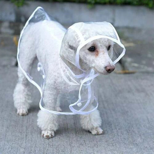 Customizable Transparent Dog Raincoat