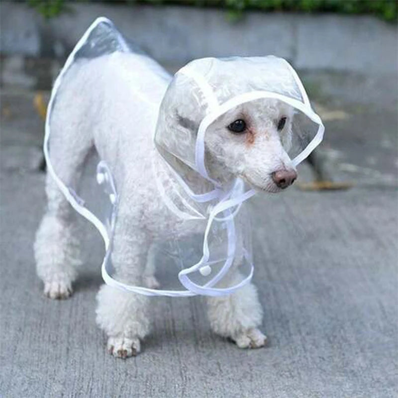 Customizable Transparent Dog Raincoat