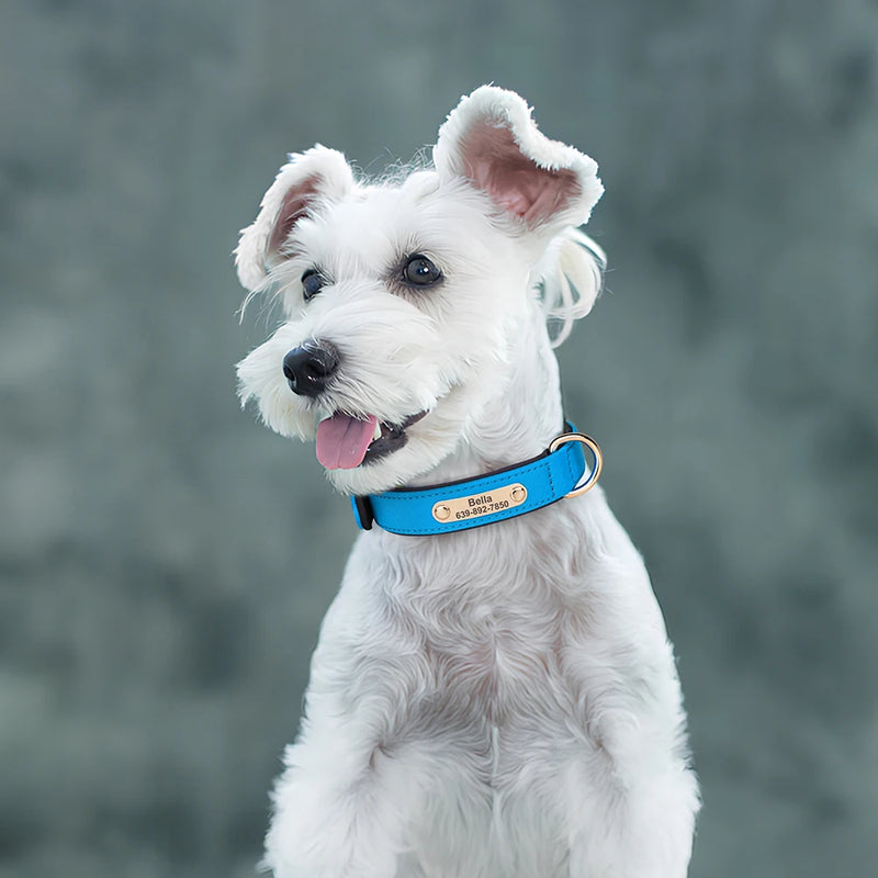 Custom Nylon Dog Collar Waterproof Personalized Pet Puppy Collar With Free Engraved ID Nameplate for Small Medium Dogs Chihuahua