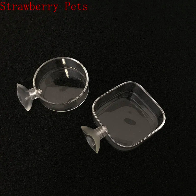 Transparent Aquarium Fish Tank Shrimp Food Feeding Circle Glass Feeder Floating Bottom Feeder Fish Shrimp