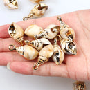 5-20pcsAcrylic Gold Plated Color Conch Sea Shell Charms Pendants Beads Jewelry Making Accessories DIY Handmade Necklace Bracelet