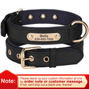 Custom Nylon Dog Collar Waterproof Personalized Pet Puppy Collar With Free Engraved ID Nameplate for Small Medium Dogs Chihuahua