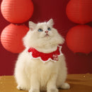 Halloween Accessories Dress up Hat Pet Collar