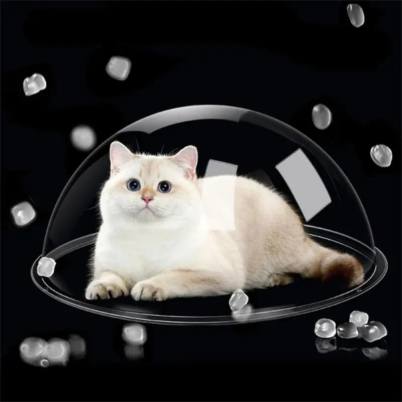 10/5/3/2/1pcs Dog Porthole Window Round Transparent Cat House Fence Pet Peek Look Out Durable Dome Acrylic Sheet Window DIY