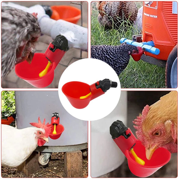 2 Pcs Automatic Chicken Fowl Bowl, Duck Goose Quail Water Feeder, Poultry Hen Coop Waterer Drinking Cups Easy Installation