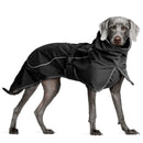 Benepaw Winter Double-Layer Dog Jacket Waterproof Windproof Reflective Strip Pet Coat Clothing For Medium Large Dogs Warming