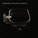Transparent Aquarium Fish Tank Shrimp Food Feeding Circle Glass Feeder Floating Bottom Feeder Fish Shrimp
