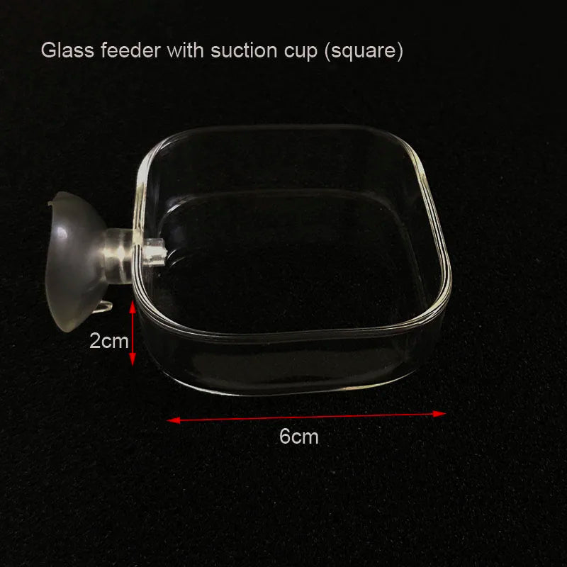 Transparent Aquarium Fish Tank Shrimp Food Feeding Circle Glass Feeder Floating Bottom Feeder Fish Shrimp